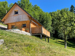 Miha`s cottage Bohinjska Bistrica